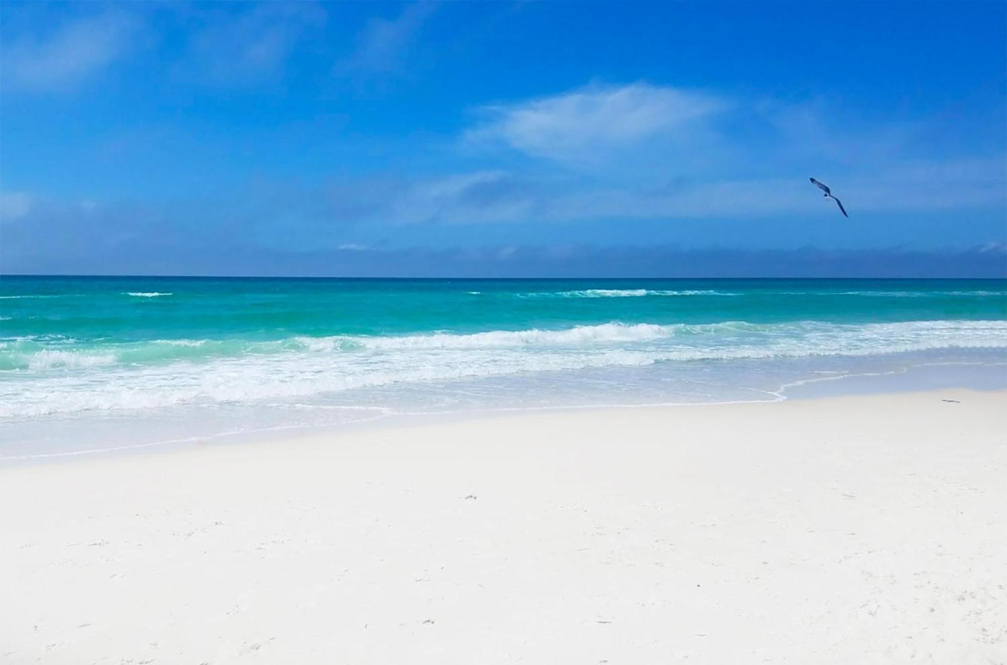 Laguna Beach Breeze Panama City Beach Esterno foto